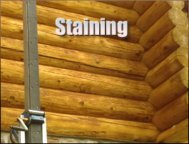  Staunton City, Virginia Log Home Staining